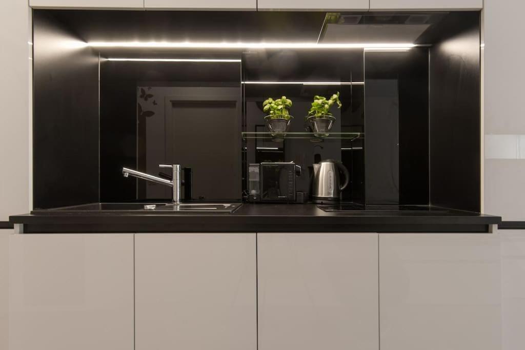 Gorgeous Central Flat With Garage Любляна Екстер'єр фото